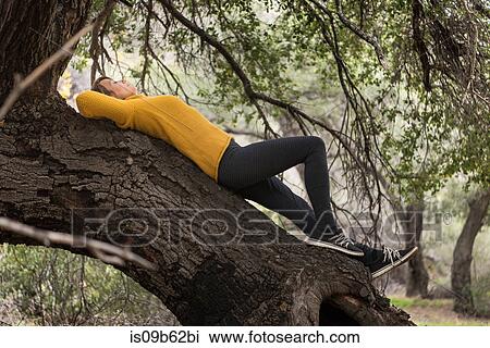 Woman lying on tree trunk, sleeping View Large Photo Image Stock Image - Woman lying on tree trunk, sleeping. Fotosearch