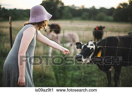 Woman reaching through wire fence to touch cow View Large Photo Image Stock Image - Woman reaching through wire fence to touch cow. Fotosearch