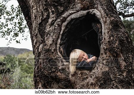 Young boy, in hollow of tree, sleeping View Large Photo Image Stock Image - Young boy, in hollow of tree, sleeping. Fotosearch