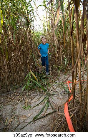 Young boy walking through pumpkin patch View Large Photo Image Stock Photography - Young boy walking through pumpkin patch. Fotosearch