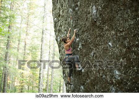 Young female rock climber climbing up rock face in forest, Mount Hood National Forest, Oregon, USA View Large Photo Image Picture - Young female rock climber climbing up rock face in forest, Mount Hood National Forest, Oregon, USA. Fotosearch