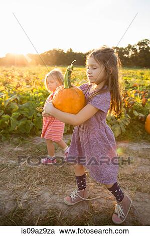 Young girl beside pumpkin patch, carrying pumpkin View Large Photo Image Stock Image - Young girl beside pumpkin patch, carrying pumpkin. Fotosearch