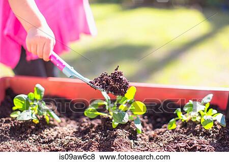 Young girl in garden, digging with trowel, mid section View Large Photo Image Stock Photo - Young girl in garden, digging with trowel, mid section. Fotosearch