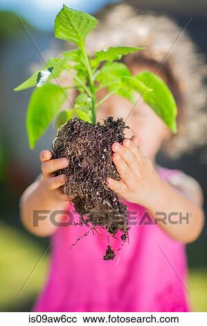 Stock Image - Young girl in garden, holding plant, reading for planting, close-up. Fotosearch