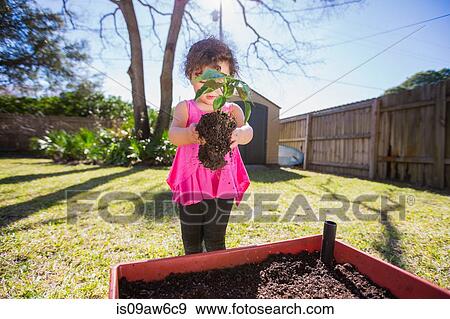 Young girl in garden, holding plant, ready for planting View Large Photo Image Stock Photo - Young girl in garden, holding plant, ready for planting. Fotosearch