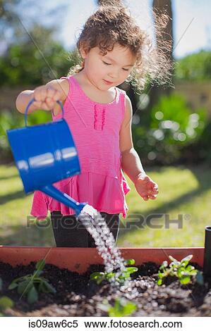 Young girl in garden, holding watering can, watering plants in tub View Large Photo Image Stock Photography - Young girl in garden, holding watering can, watering plants in tub. Fotosearch