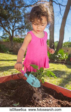 Young girl in garden, planting plant in tub, holding trowel View Large Photo Image Stock Image - Young girl in garden, planting plant in tub, holding trowel. Fotosearch