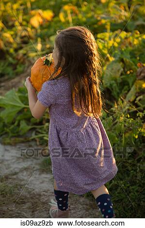 Young girl in pumpkin patch, carrying pumpkin, rear view View Large Photo Image Stock Image - Young girl in pumpkin patch, carrying pumpkin, rear view. Fotosearch