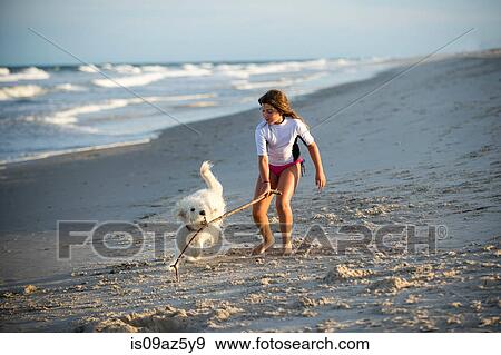 Stock Photo - Young girl playing with dog on beach. Fotosearch