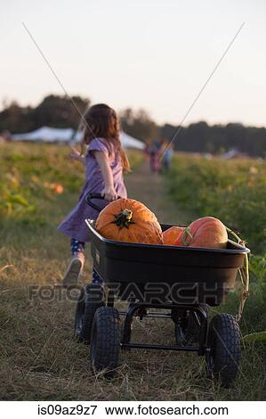 Young girl walking along rural pathway, pulling wheelbarrow full of pumpkins, rear view View Large Photo Image Stock Photo - Young girl walking along rural pathway, pulling wheelbarrow full of pumpkins, rear view. Fotosearch
