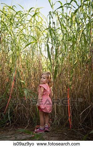 Young girl walking through pumpkin patch, rear view View Large Photo Image Picture - Young girl walking through pumpkin patch, rear view. Fotosearch