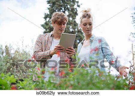Young man and woman in urban garden, photographing plants using digital tablet View Large Photo Image Stock Photo - Young man and woman in urban garden, photographing plants using digital tablet. Fotosearch