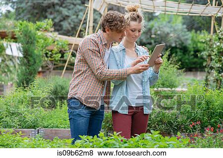 Young man and woman in urban garden, photographing plants using digital tablet View Large Photo Image Stock Photo - Young man and woman in urban garden, photographing plants using digital tablet. Fotosearch