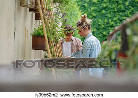 Stock Image - Young man and woman tending to plants growing in cans in urban garden. Fotosearch