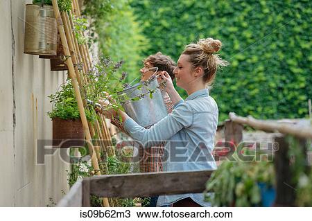 Stock Image - Young man and woman tending to plants growing in cans, young woman watering plants using watering can. Fotosearch