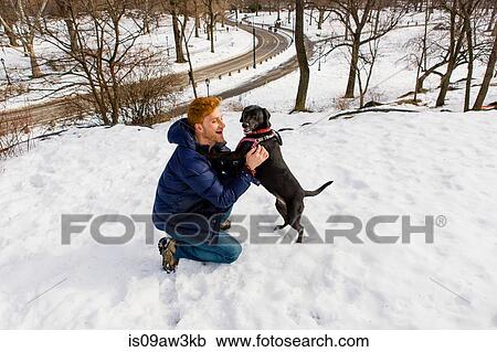 Young man petting dog in snowy Central Park, New York, USA View Large Photo Image Stock Image - Young man petting dog in snowy Central Park, New York, USA. Fotosearch