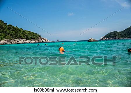 Young man snorkelling, Nangyuan Island, Thailand View Large Photo Image Stock Image - Young man snorkelling, Nangyuan Island, Thailand. Fotosearch