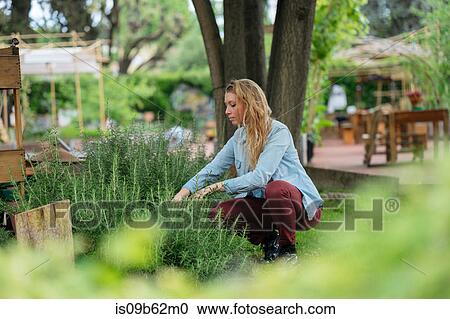 Stock Image - Young woman tending to plants in urban garden. Fotosearch