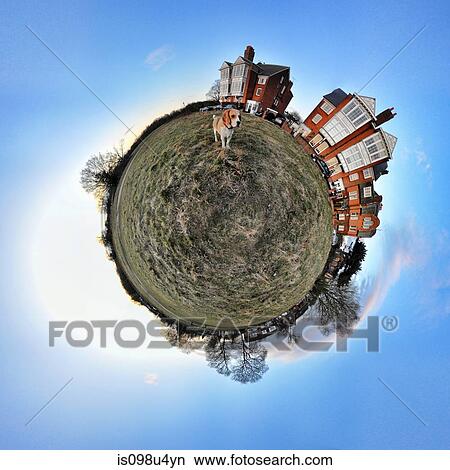 Beagle and houses with little planet effect View Large Photo Image Picture - Beagle and houses with little planet effect. Fotosearch