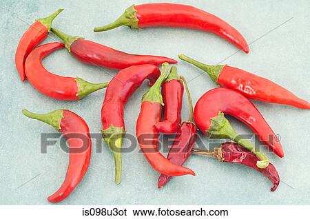 Red chillies View Large Photo Image Stock Photograph - Red chillies. Fotosearch
