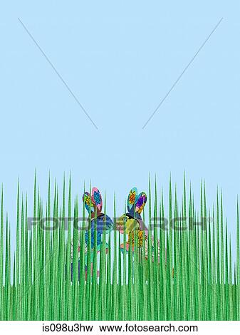 Two rabbits, face to face View Large Photo Image Stock Photo - Two rabbits, face to face. Fotosearch