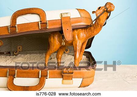 Camel ornament in a suitcase View Large Photo Image Stock Photo - Camel ornament in a suitcase. Fotosearch