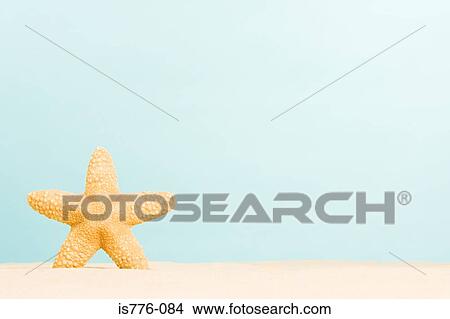 Picture - Starfish in sand. Fotosearch