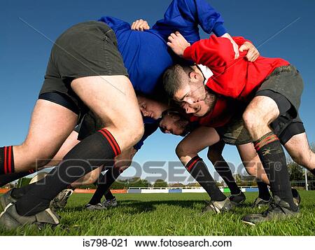 Rugby players in a scrum View Large Photo Image Stock Image - Rugby players in a scrum. Fotosearch