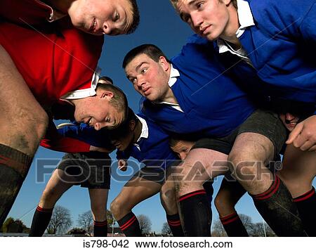 Rugby players in a scrum View Large Photo Image Stock Image - Rugby players in a scrum. Fotosearch