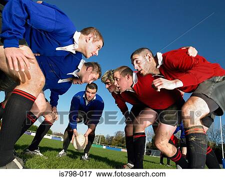 Rugby players in a scrum View Large Photo Image Stock Photo - Rugby players in a scrum. Fotosearch
