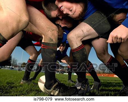 Rugby players in a scrum View Large Photo Image Stock Photo - Rugby players in a scrum. Fotosearch