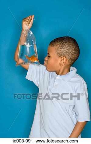 Boy with a goldfish View Large Photo Image Stock Image - Boy with a goldfish. Fotosearch