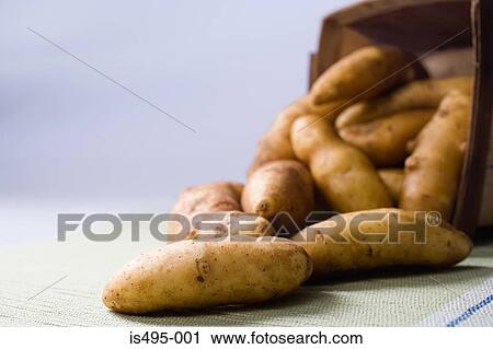 Fingerling potatoes View Large Photo Image Stock Image - Fingerling potatoes. Fotosearch