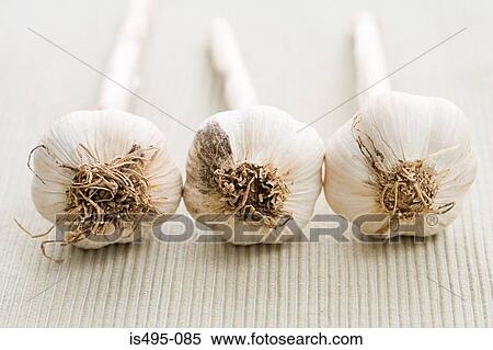 Stock Photography - Garlic in a row. Fotosearch