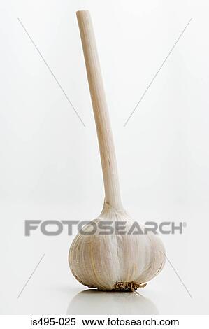 Garlic View Large Photo Image Stock Photography - Garlic. Fotosearch