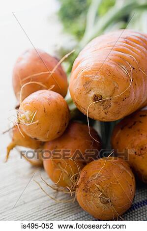 Stock Image - Globe beetroot. Fotosearch