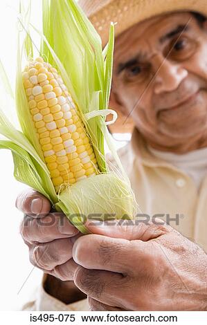 Stock Photography - Man holding a corn on the cob. Fotosearch