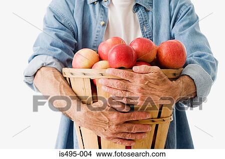 Man holding basket of apples View Large Photo Image Picture - Man holding basket of apples. Fotosearch