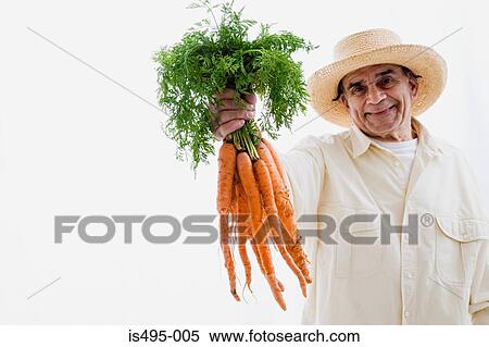 Man holding bunch of carrots View Large Photo Image Stock Photography - Man holding bunch of carrots. Fotosearch