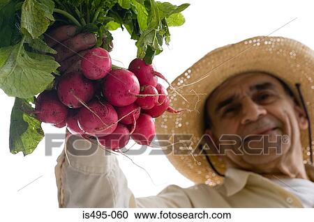 Man holding bunch of radishes View Large Photo Image Stock Image - Man holding bunch of radishes. Fotosearch