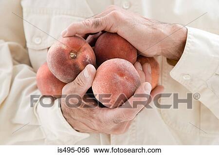 Man holding peaches View Large Photo Image Stock Photograph - Man holding peaches. Fotosearch