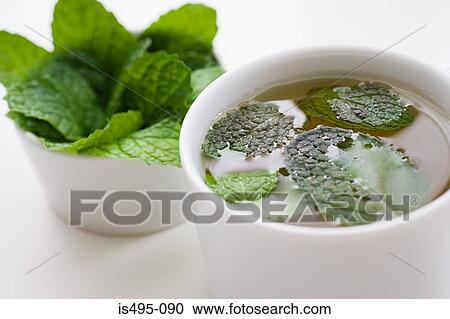 Stock Image - Mint sauce. Fotosearch