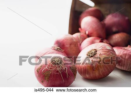 Picture - Red onions. Fotosearch