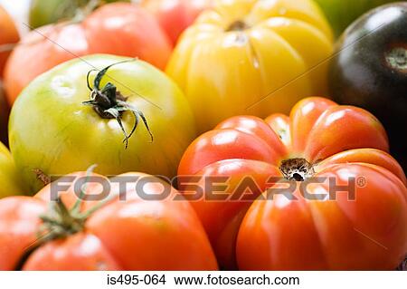 Tomatoes View Large Photo Image Picture - Tomatoes. Fotosearch