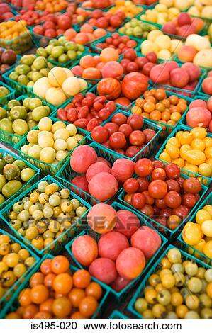 Variety of tomatoes at the market View Large Photo Image Stock Image - Variety of tomatoes at the market. Fotosearch