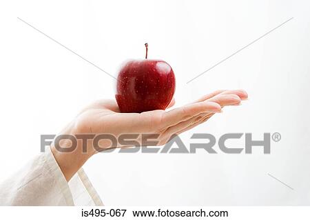 Woman holding apple View Large Photo Image Stock Photo - Woman holding apple. Fotosearch