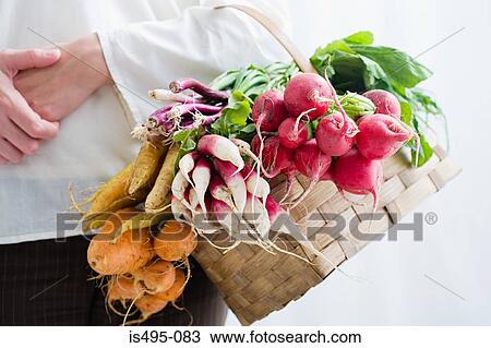 Woman holding basket of beetroot and radishes View Large Photo Image Stock Image - Woman holding basket of beetroot and radishes. Fotosearch
