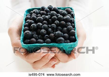 Woman holding blueberries View Large Photo Image Picture - Woman holding blueberries. Fotosearch