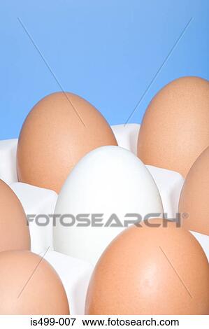 Stock Photo - Eggs. Fotosearch