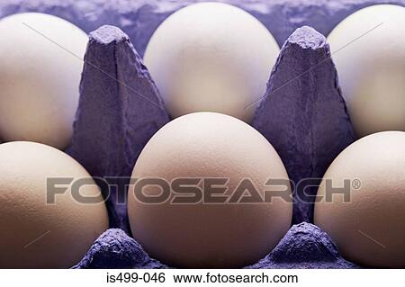 Eggs View Large Photo Image Stock Photograph - Eggs. Fotosearch